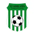TJ Sebuzín