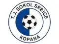 TJ Sokol Srbice
